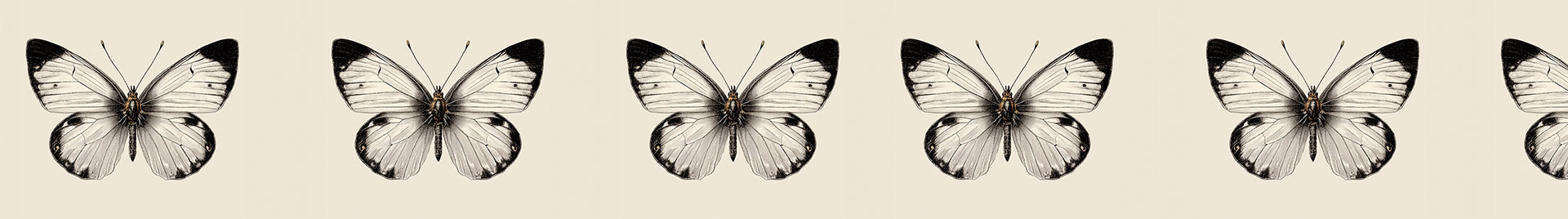 The Print Lovers Club