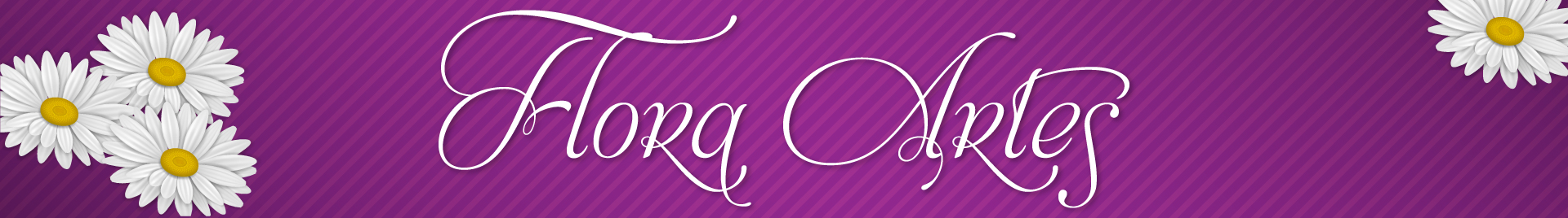 Flora Artes, bordados e macramê