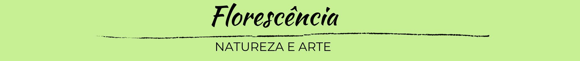 Nina Buquês e Decoração 