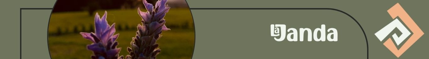 La Janda Essências e Aromas