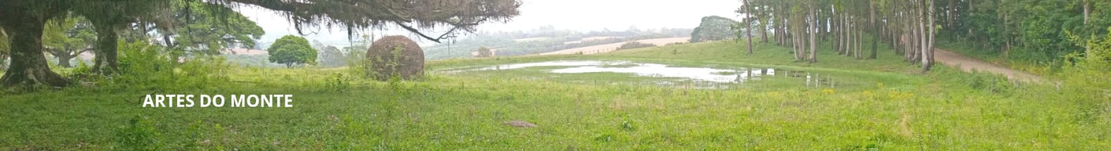 Lucieni Lopes Saraiva