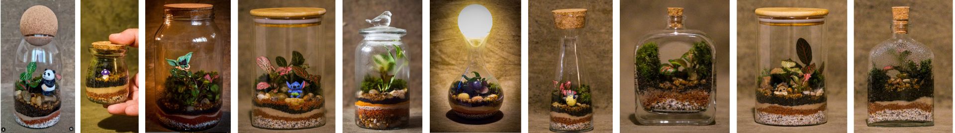 Ana Terra - Terrários