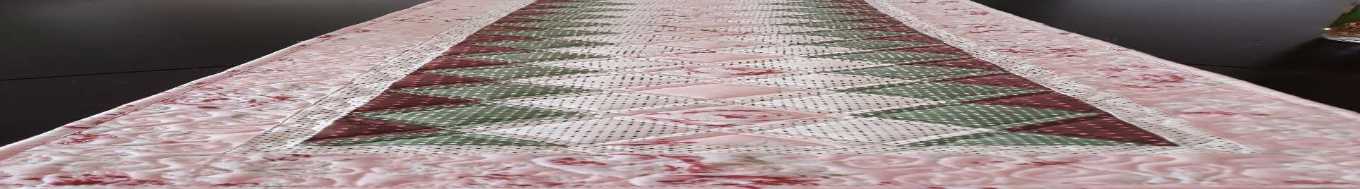 Conceição Aparecida Veronesi