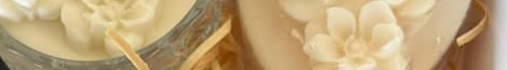 Valéria Gomes  Carvalho