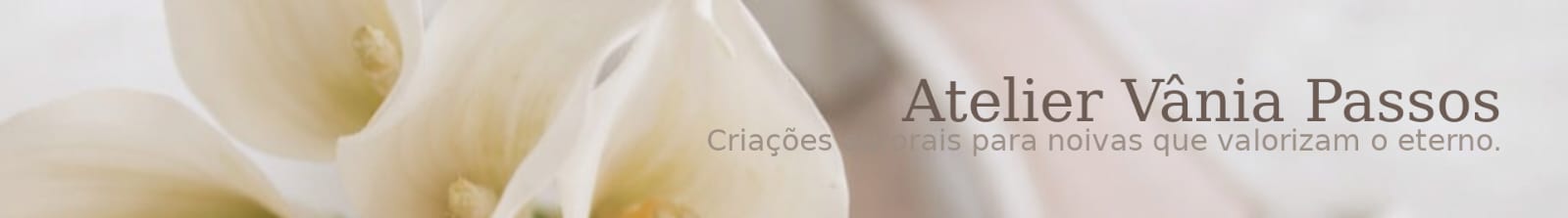 Vania Passos Acessórios Para Noivas