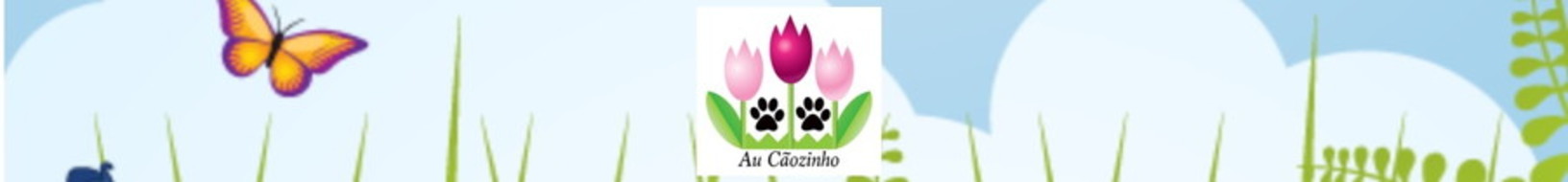 Au Cãozinho