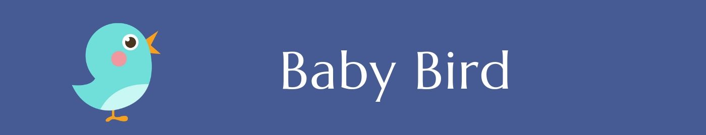 Baby Bird Atelier