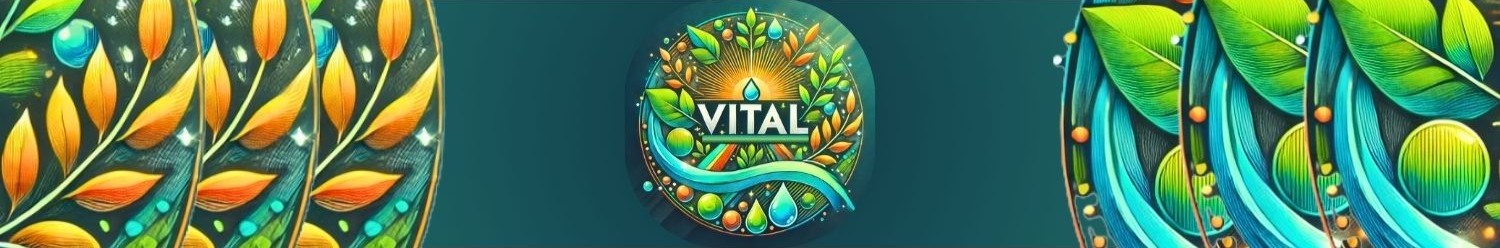 Vital Terapias Integrativas