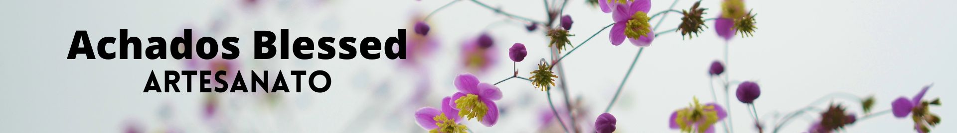 Inaura Vanessa Campos Silva