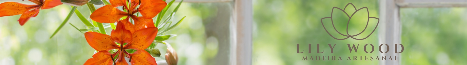 Eliane Oliveira Santos