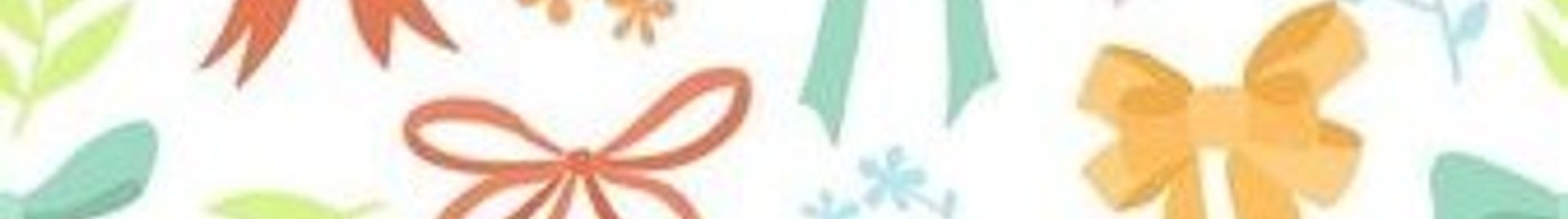 Laços e Fitas Laura