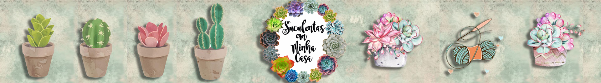 Suculentas em Minha Casa