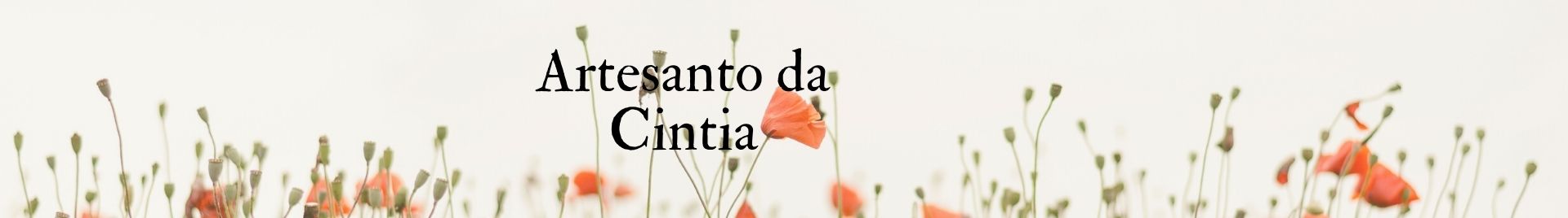 ARTESANATO DA CINTIA