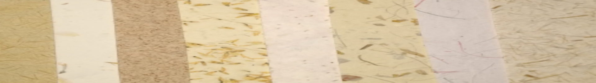 Artes Divinas Papeis Especiais