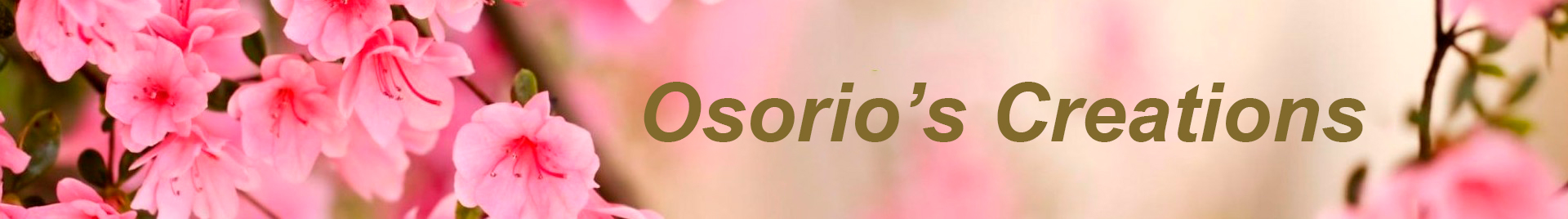 Osorio's Creations