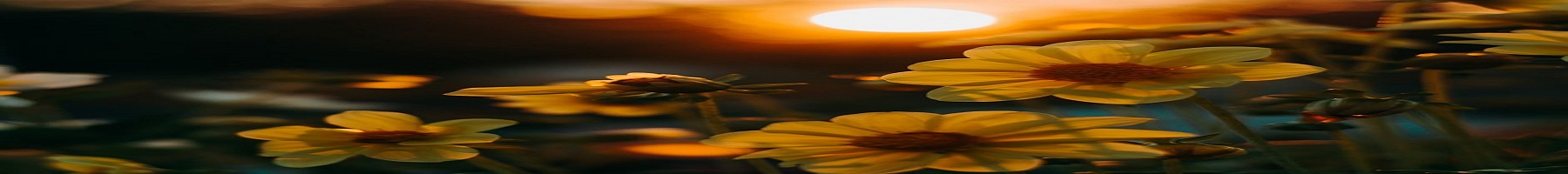 Zum Zum - Capas, decorações e enxovais