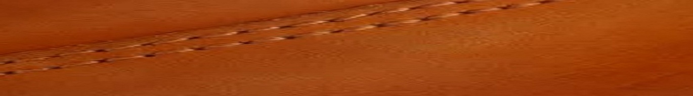 Ro Reis arte em couro