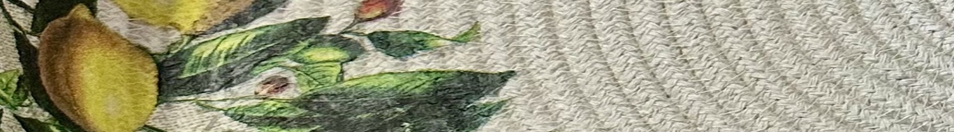 Virgínia Lis Cestaria