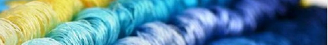 Ariane Alves de Souza