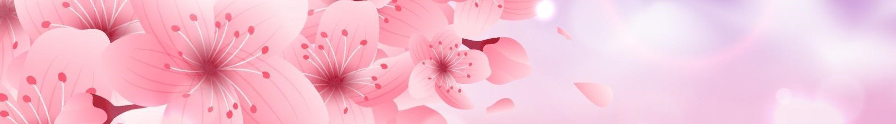 Mimos, coisas e coisinhas