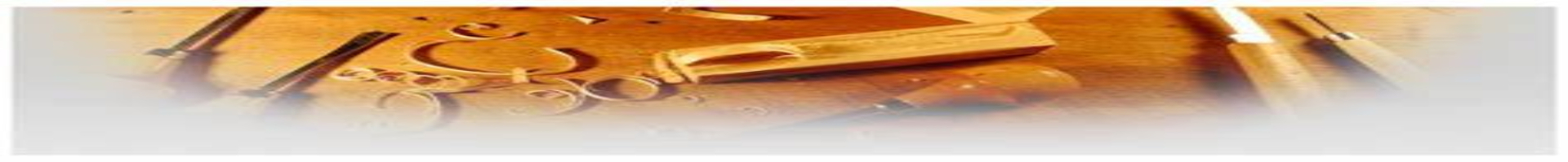 Rafael de Sá Gonçalves