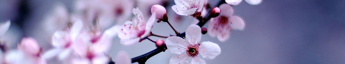 Boulhosa Blue Ateliê