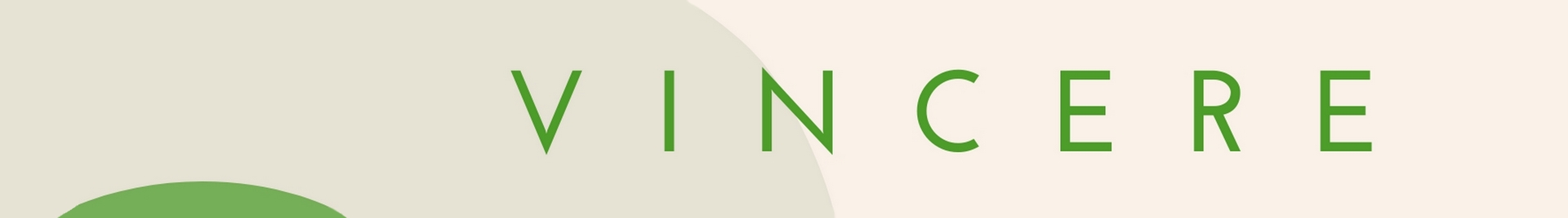 Vincere