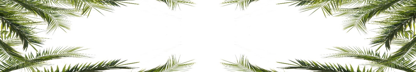 Lembpanta artesanatos