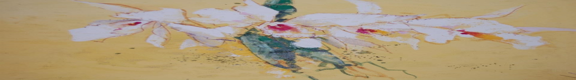 Sãn Mandelli - Arte Conceito