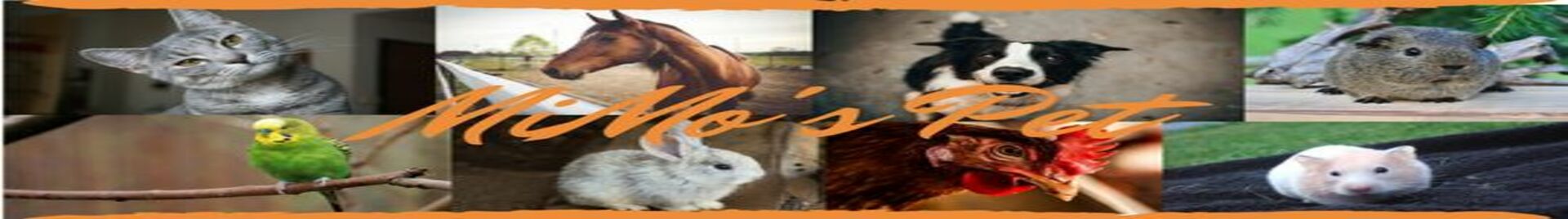 Mimo's Pet Identificações