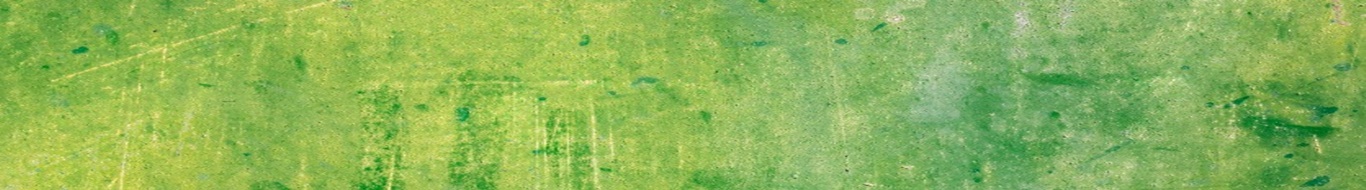 Girafa Oficina Artesanal