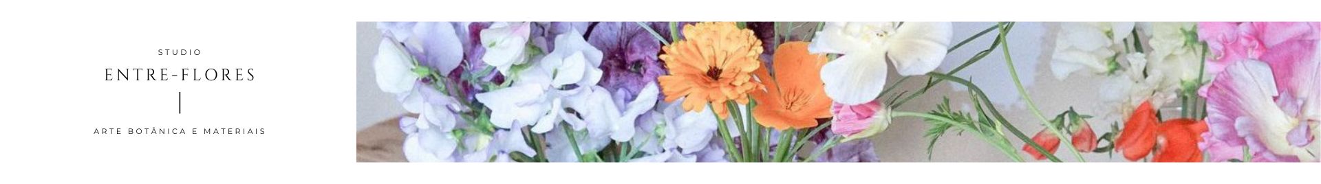 Entre-Flores// arte botânica & materiais
