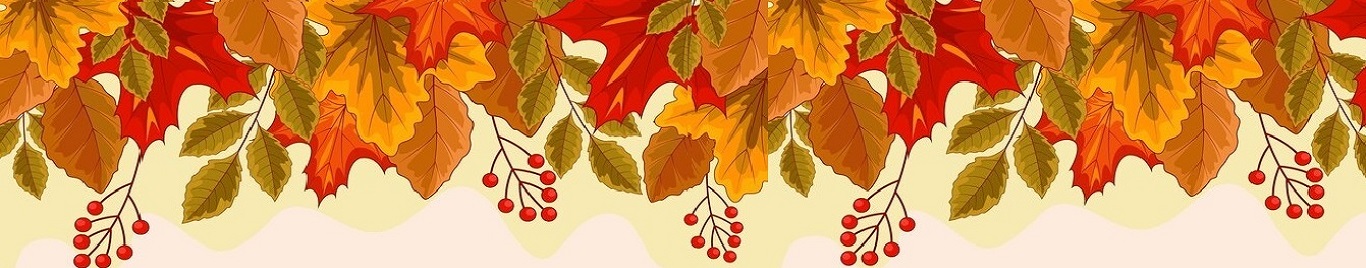 Ateliê Raposa Curiosa