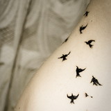 Sophia de Freitas Santos