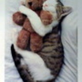 Andreia Aparecida S Santos