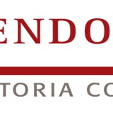 MTENDOLINI CONSULT CONTABIL LTDA