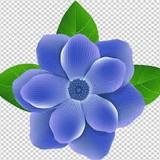 Ana Vitoria Menezes Bessimo