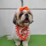 Bruna Gonçalves Viana da Costa