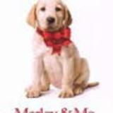 Silvio Luis de Almeida Gonçalves