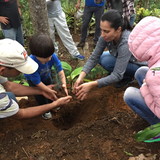 Grazieli Forza Roldi