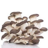 RAFAEL LUIZ ZIMMERMANN