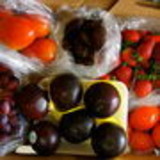 luciana ferreira carvalho