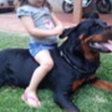 Patricia Romeiro Espíndola