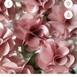 João Fernando Gonçalves Feliciano