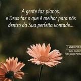 Celia Regina Almeida Avelar