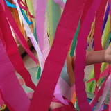 Ana Cecilia Pinheiro Meneses