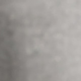 Carlos Eduardo Segamarchi