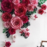 nathalia moretti de olveira