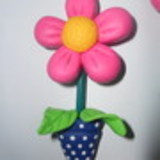 Danielen Silva Soares