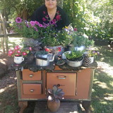 Daniela Hernandes Serezine